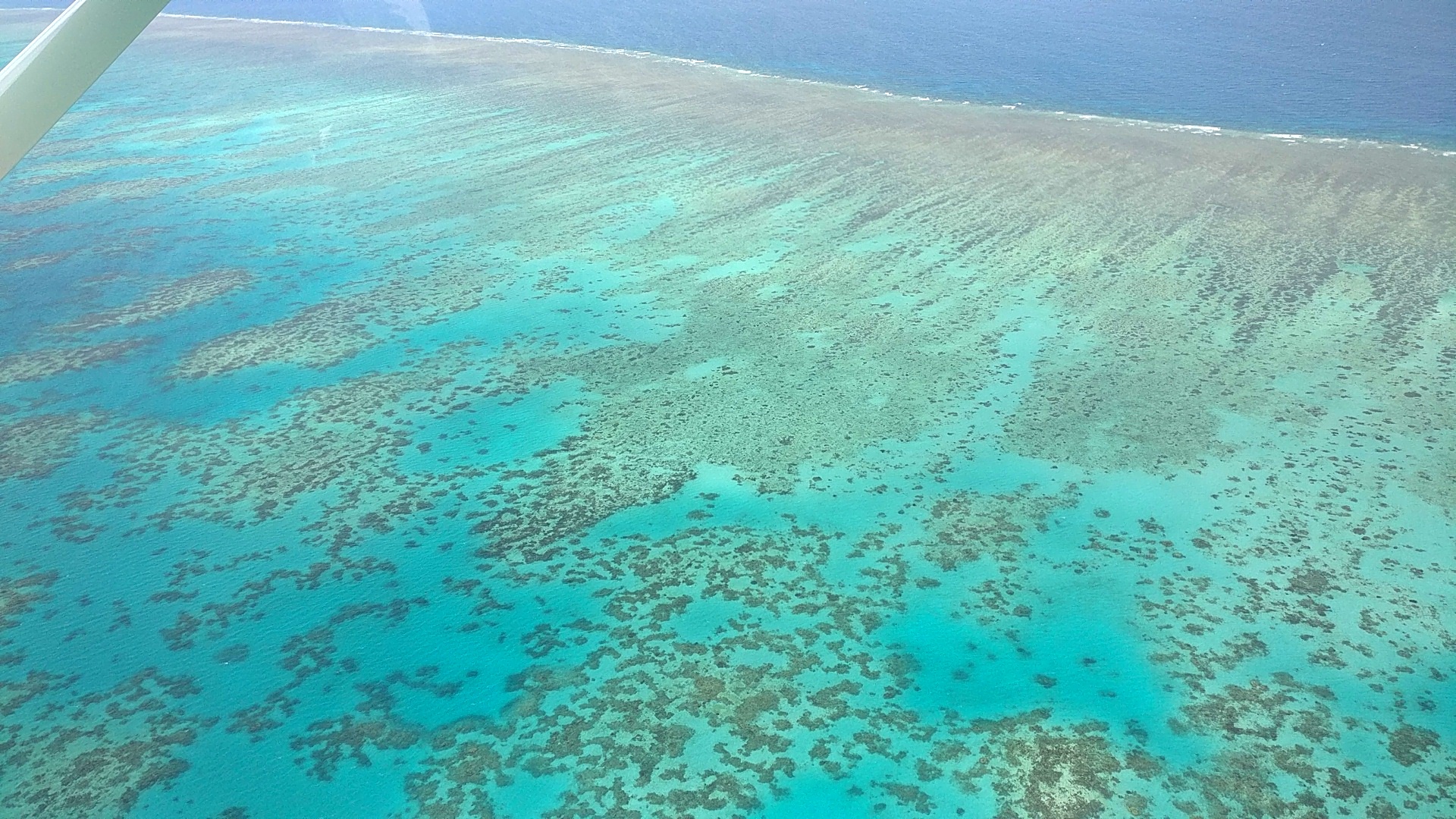 Cairns & The Great Barrier Reef Scenic flight tour