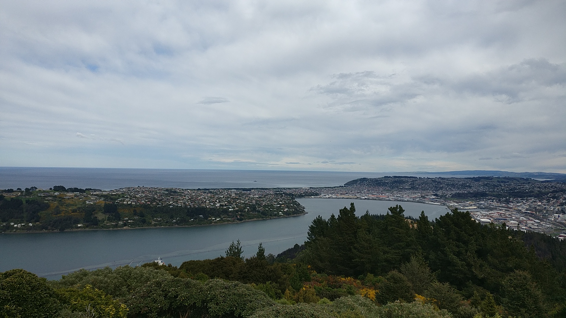 Top Things not to miss in Dunedin