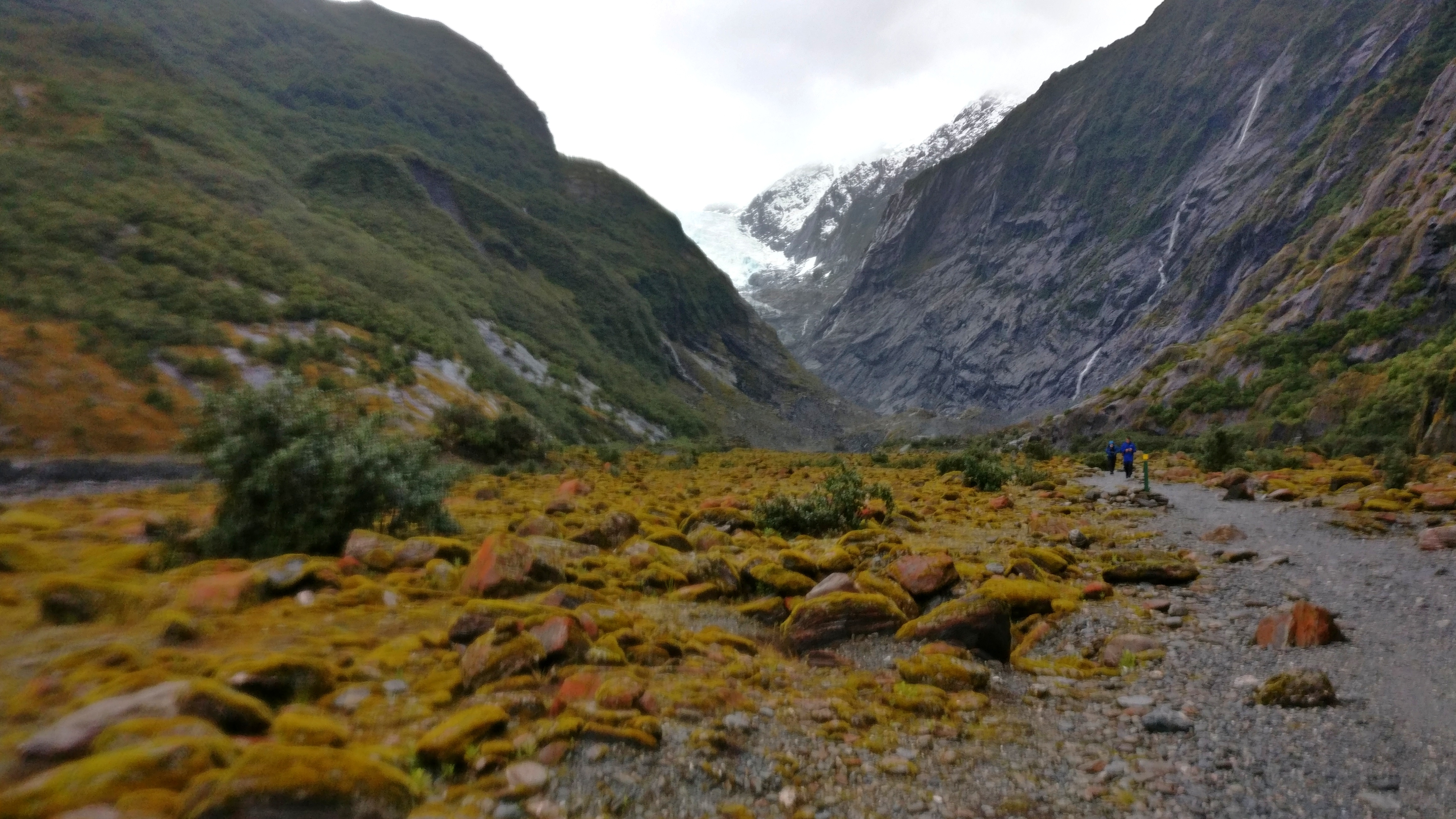 Your Ultimate guide to Franz Josef Glacier Valley Walk
