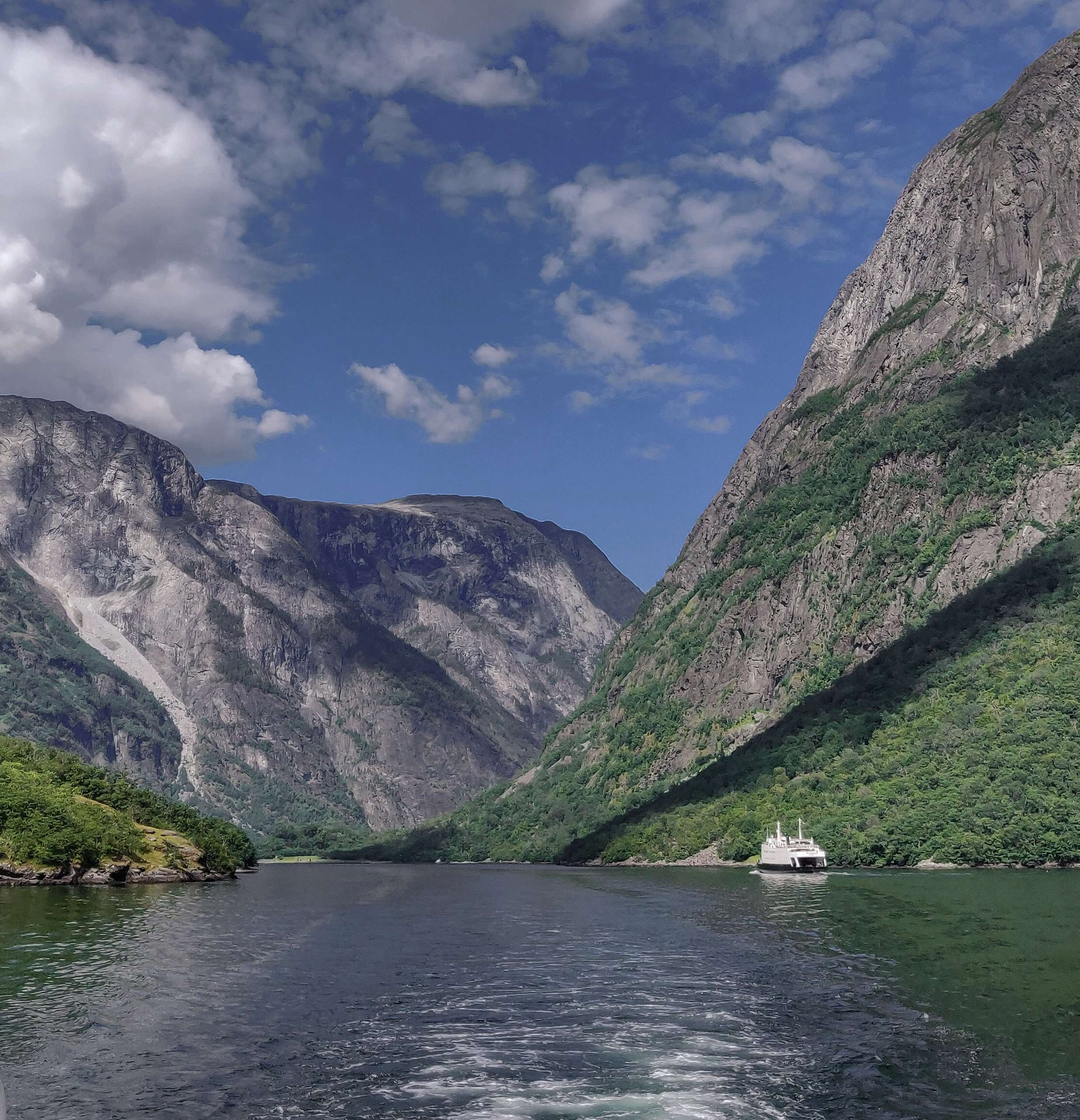 Norway in a nutshell full day fjord tour from Bergen